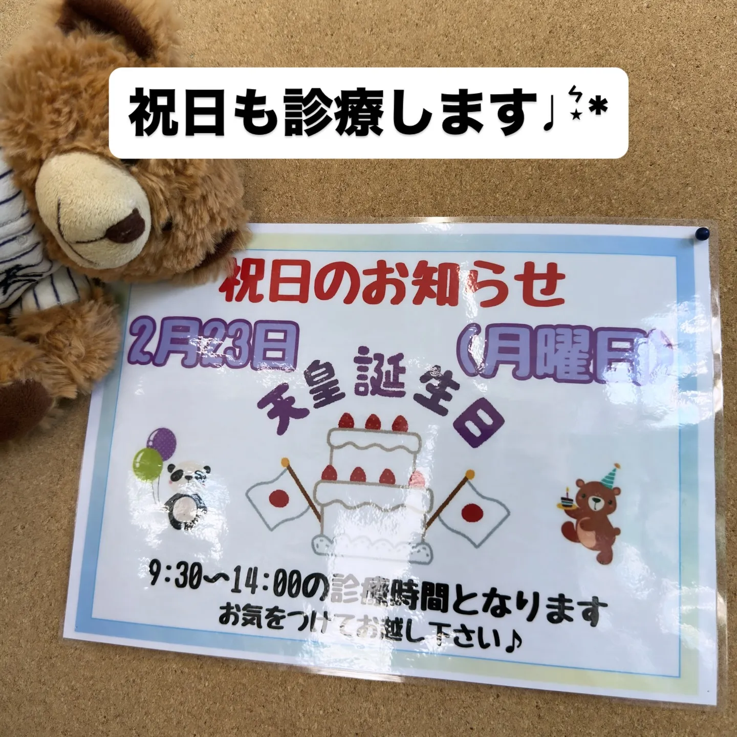 天皇誕生日も診療します🌿