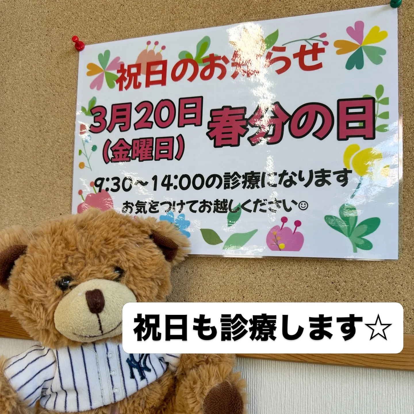 春分の日も診療します🌿