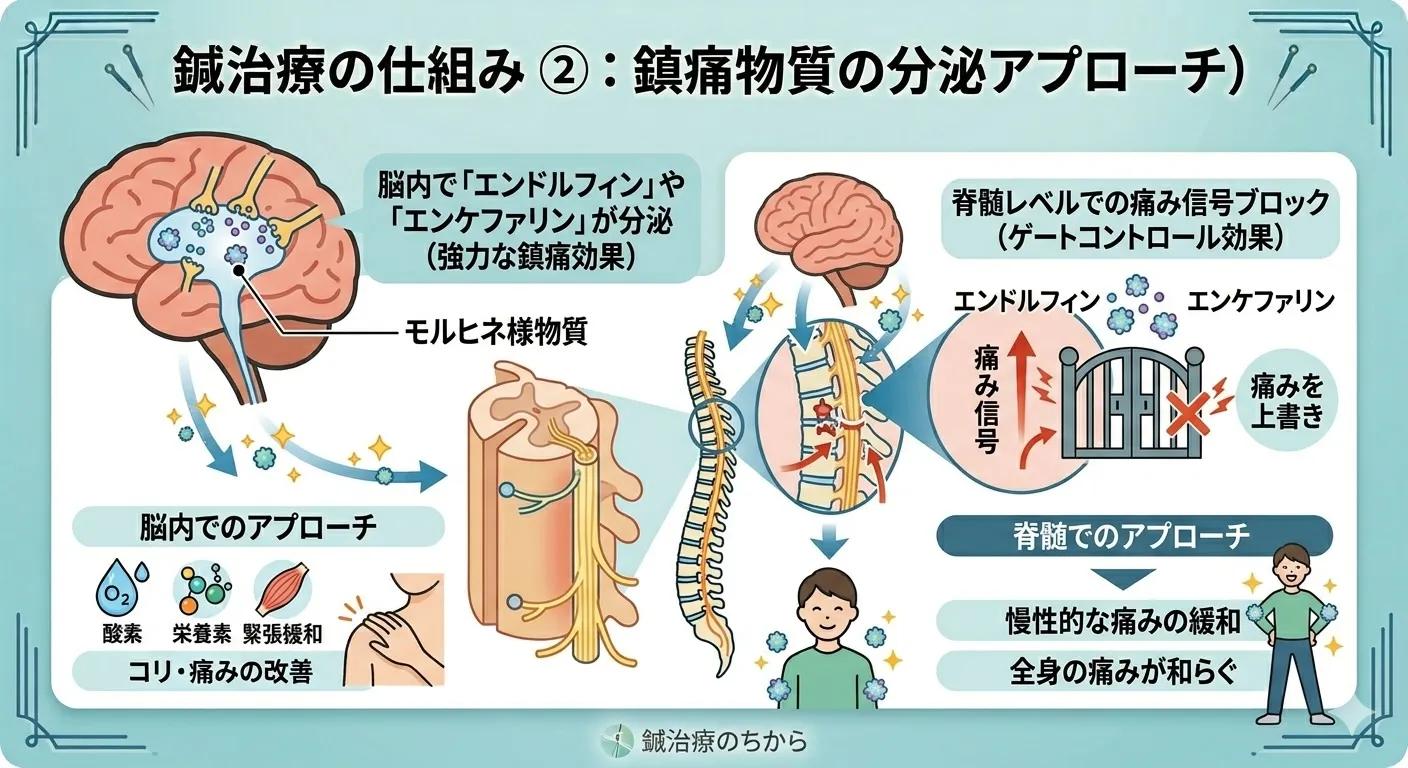 疲れや痛みに悩む人へ